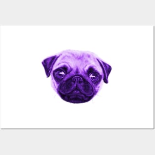 Sunday Pop Art Pug Violet And Yellow Posters and Art